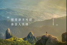 დ释怀დ主播照片