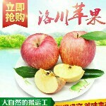 路氏餐饮主播照片
