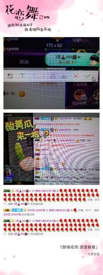 喵崽小花猫主播照片