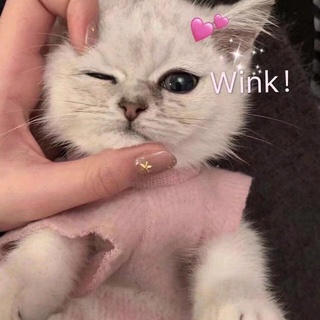 孑然吖❣️