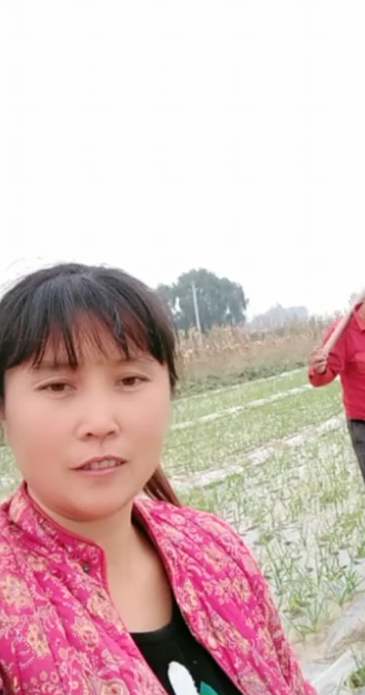 山美水美中国美