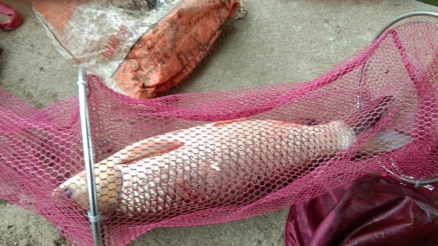 小弟戒烟戒酒不戒色的主播照片