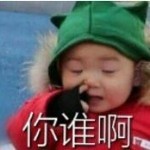 李伟李大帅海报