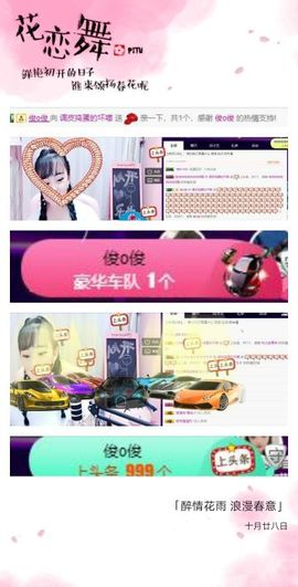 喵崽小花猫主播照片