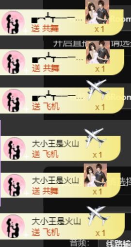 海鸽晚上见主播照片