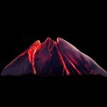 贵族黑粉海报