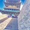 向往明天ivi