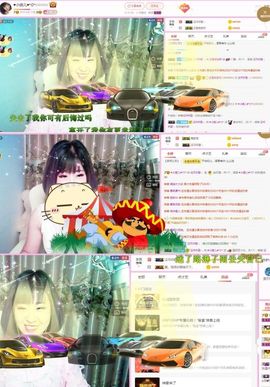 一只雁~主播照片
