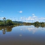 大兄ddei海报
