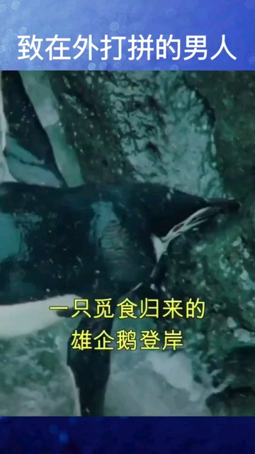 致……