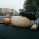 楊guang@嘩