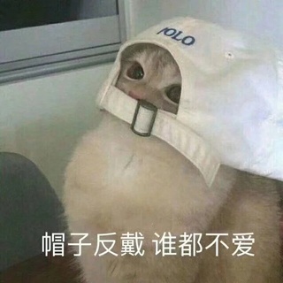 你的小可爱呢