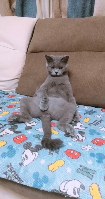 看吧看吧
