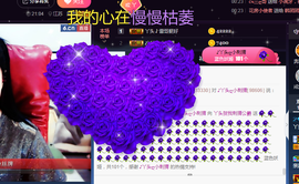 ♪丫头ღ休假回内蒙主播照片