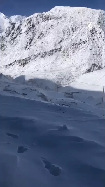 冰天雪地……出门都难