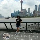 画眉c