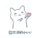 。cer