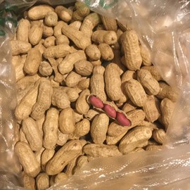 新人21😌主播照片