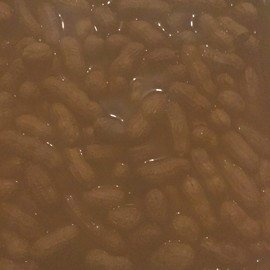新人21😌主播照片