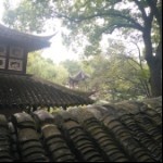 芳草碧脸天♪的头像