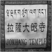 人间某处主播照片