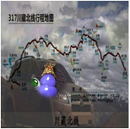 人间某处主播照片
