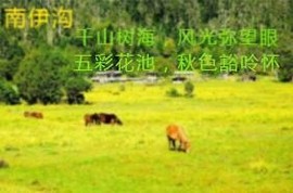 人间某处主播照片