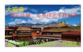 人间某处主播照片