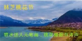 人间某处主播照片