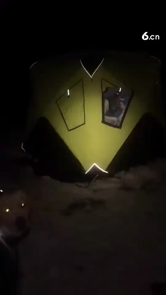 冰钓小公鱼