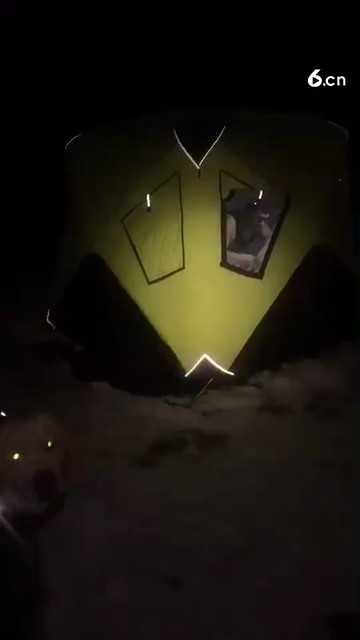 冰钓小公鱼