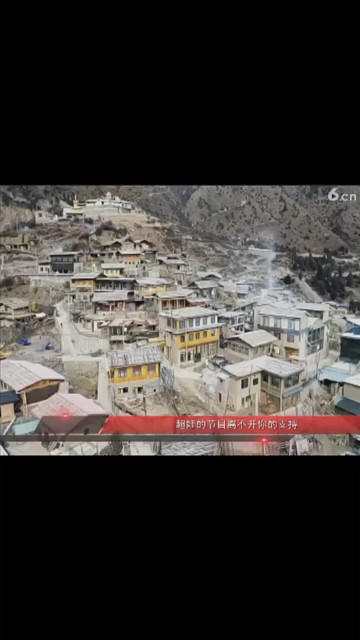 甘南8