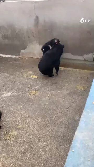 就問你服不服??