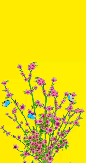 🌹🦋