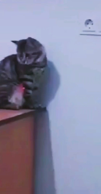 自动开关了解一下