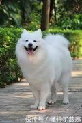 私许o