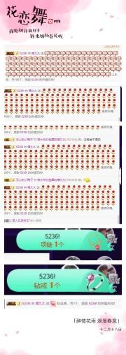 喵崽小花猫主播照片