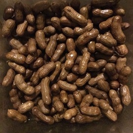 新人21😌主播照片