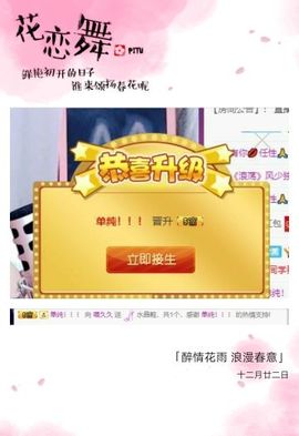 喵崽小花猫主播照片