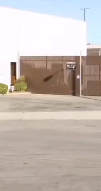 飞人
