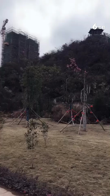 吹着西北风重感冒了！求关爱！