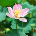 如有雷同纯属虚构💫
