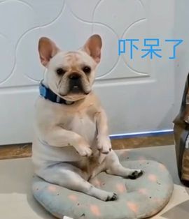 vfufgkkg主播照片
