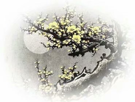 დ释怀დ主播照片