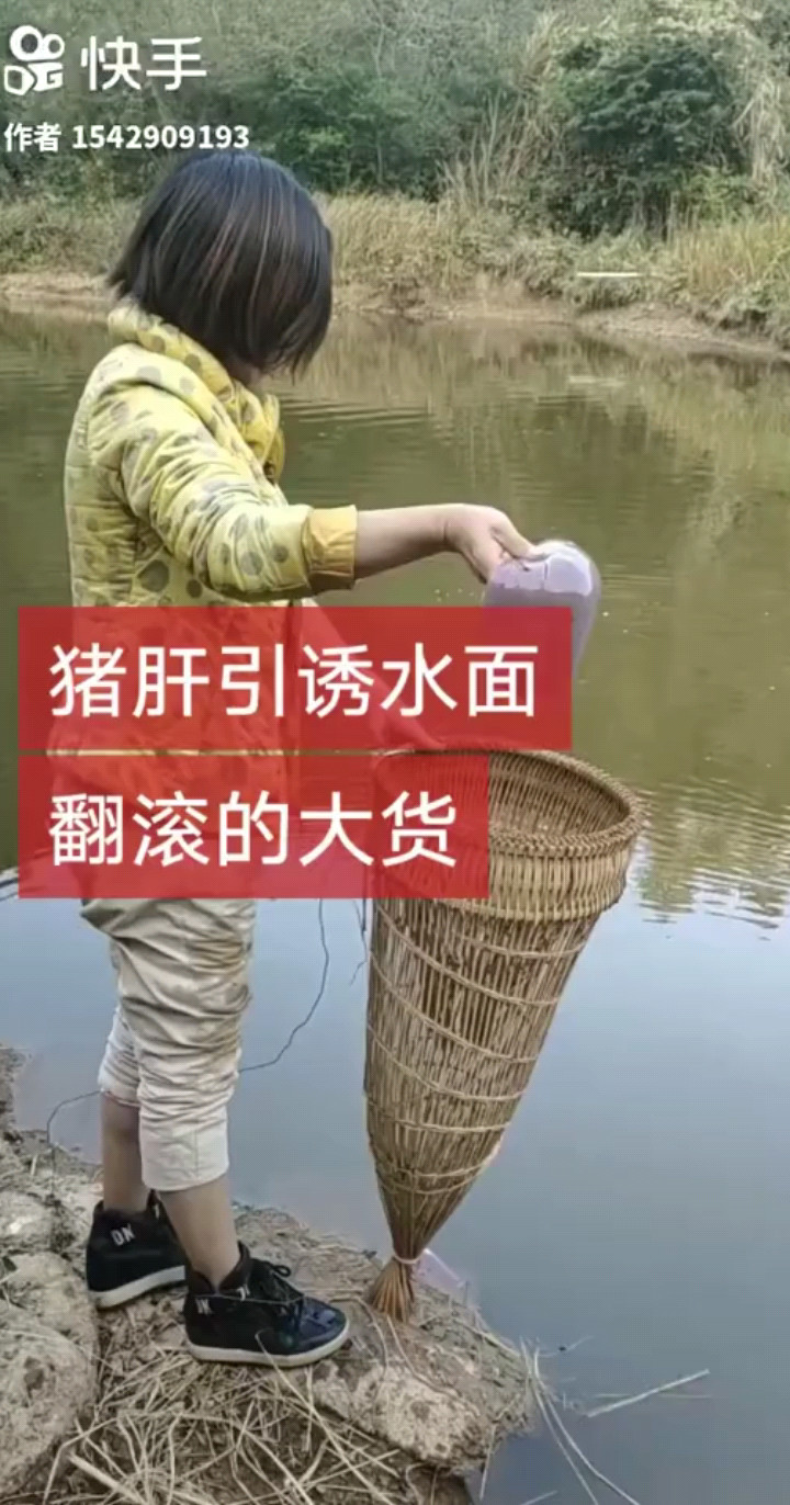 抓鱼