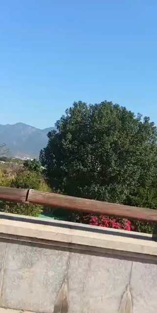又跑出去散散心了.又来嘚瑟一下