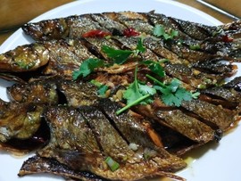 吃货🐽猪猪^O^主播照片