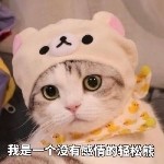 诺诺km