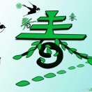 👫雪白睡莲