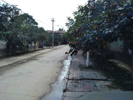 楹婪（张合）主播照片